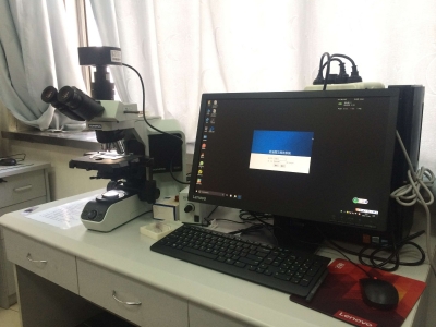 免疫組化圖文報告系統