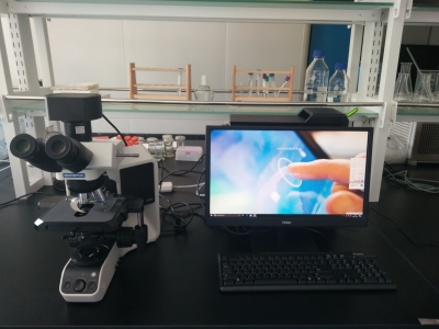 染色體檢查圖文報告系統